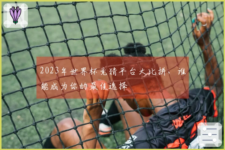 2023年世界杯竞猜平台大比拼，谁能成为你的最佳选择