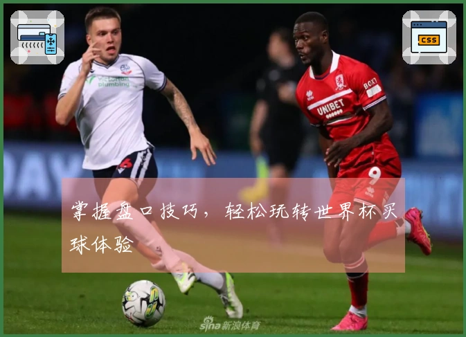 掌握盘口技巧,轻松玩转世界杯买球体验