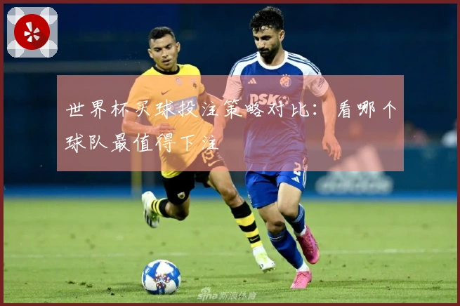 世界杯买球投注策略对比：看哪个球队最值得下注