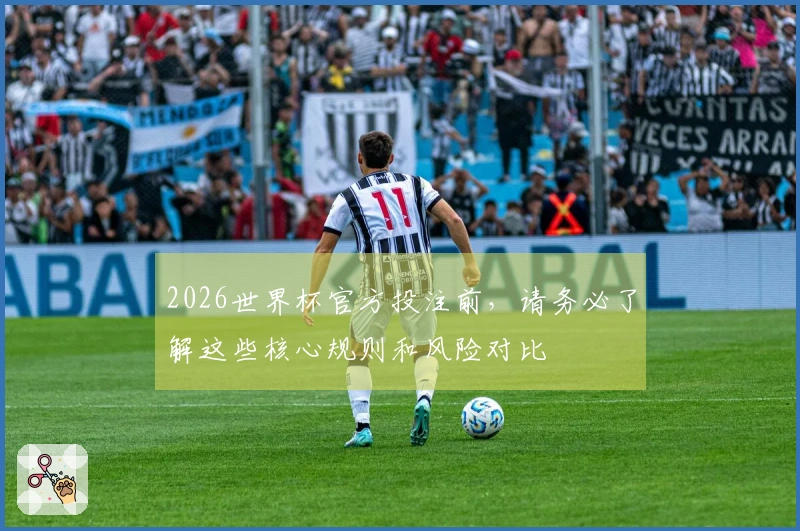 2026世界杯官方投注前，请务必了解这些核心规则和风险对比
