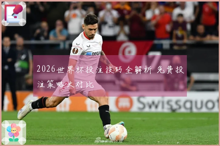 2026世界杯投注技巧全解析 免费投注策略大对比