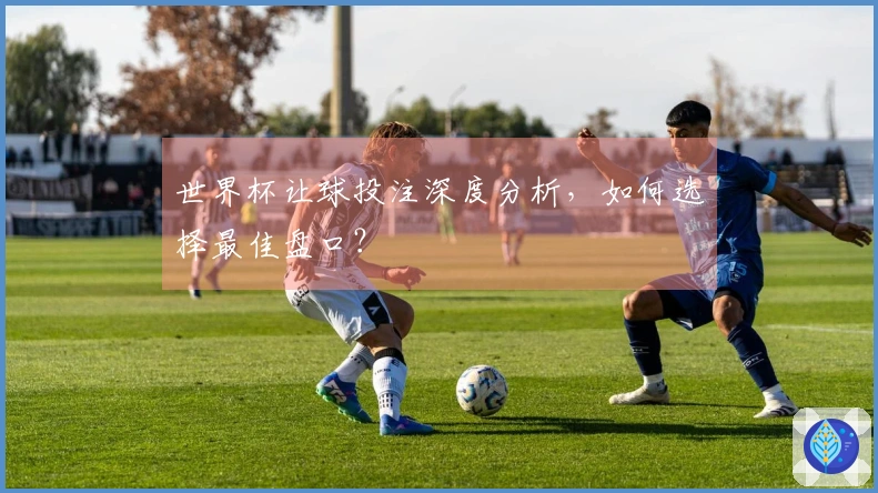 世界杯让球投注深度分析，如何选择最佳盘口？
