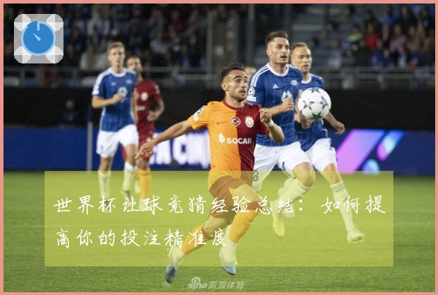 世界杯让球竞猜经验总结：如何提高你的投注精准度