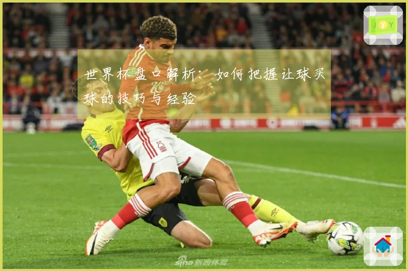 世界杯盘口解析：如何把握让球买球的技巧与经验