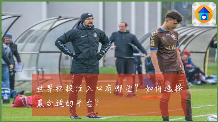 世界杯投注入口有哪些？如何选择最合适的平台？