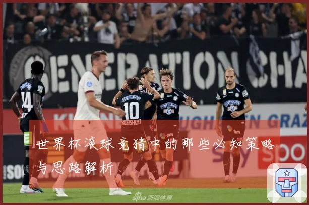 世界杯滚球竞猜中的那些必知策略与思路解析