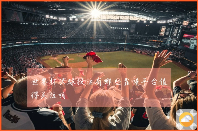 世界杯买球投注有哪些靠谱平台值得关注吗