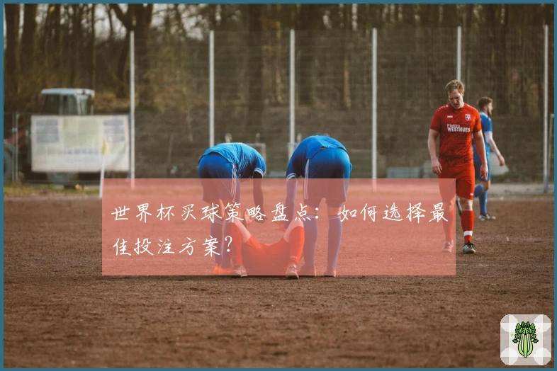 世界杯买球策略盘点：如何选择最佳投注方案？