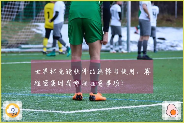 世界杯竞猜软件的选择与使用，赛程密集时有哪些注意事项？