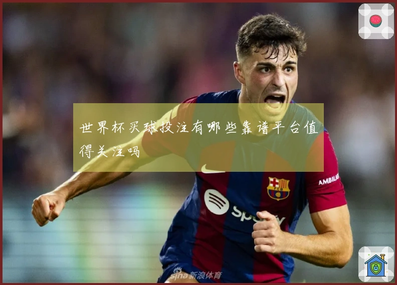 世界杯买球投注有哪些靠谱平台值得关注吗