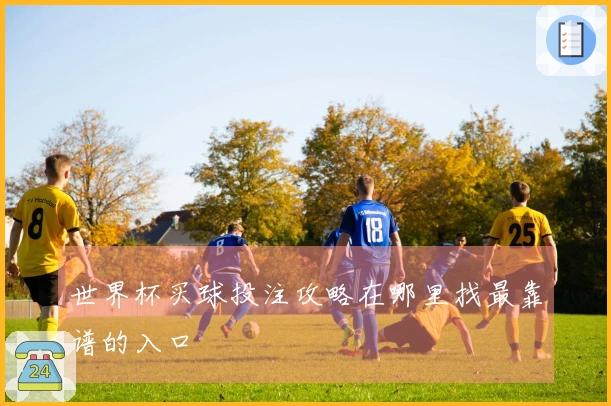 世界杯买球投注攻略在哪里找最靠谱的入口
