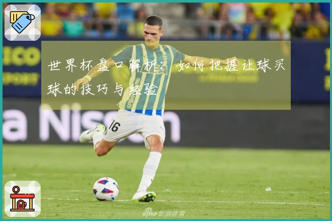 世界杯盘口解析：如何把握让球买球的技巧与经验
